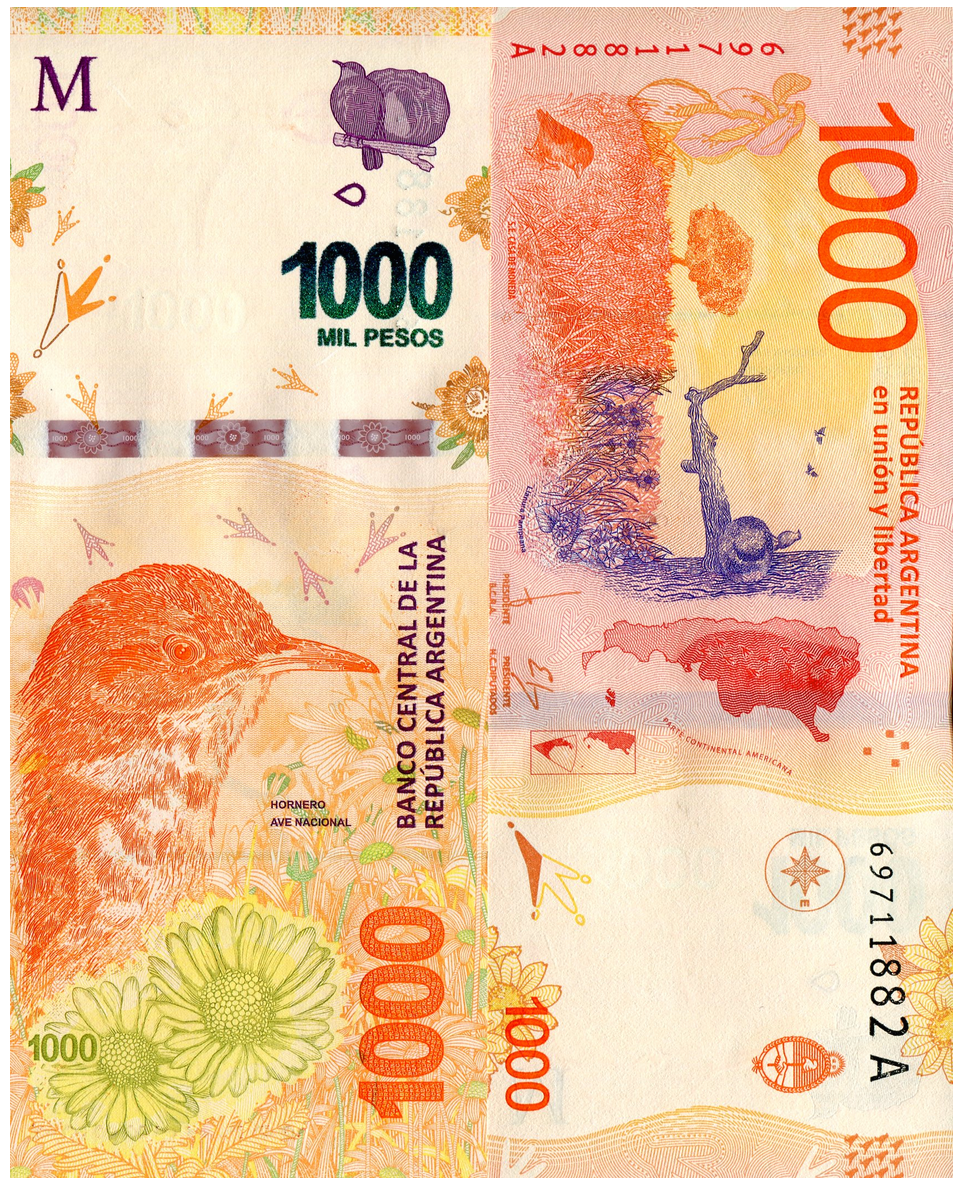 Billete De Argentina 1,000 Pesos Nuevo Sin Circular, Hornero