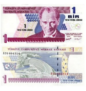 D_708101-MLM50279011226_062022-O.jpg Billete De Turquía 1 Lira 2006 Nvo Sn Circular Mustafa Kemal