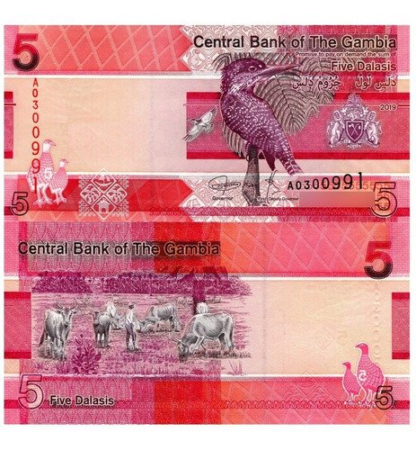 Billete De Gambia 5 Dalasis 2019 Nvo.martín Pescador Gigante