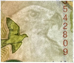 D_750347-MLM72132078447_102023-O.jpg Billete De Zambia 20 Kwachas Águila Pescadora Nuevo Sin Circ