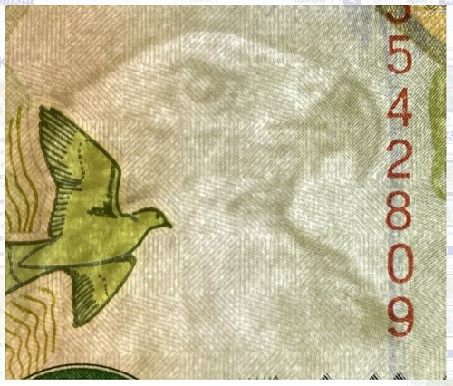 D_750347-MLM72132078447_102023-O.jpg Billete De Zambia 20 Kwachas Águila Pescadora Nuevo Sin Circ