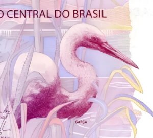 Billete De Brasil De 5 Reales, Garza, Nuevo Sin Circular.