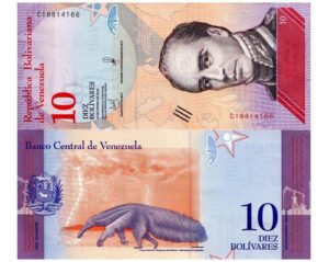 D_830206-MLM51373083153_092022-O.jpg Billete De Venezuela 10 Bolívares Urdaneta, Oso Palmero 2018