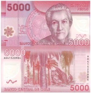 Billete De Chile 5000 Pesos 2014 Gabriela Mistral, Polímero