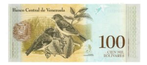 D_910916-MLM106767455275_022026-O.jpg Billete De Venezuela 100 Bolívares Bolívar Pájaro Silkin2017