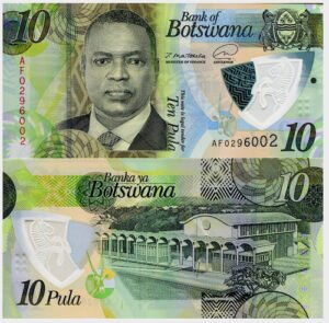 D_924122-MLM49785116720_042022-O.jpg Billete De Botswana 10 Pula 2021 Polímero Nvo. Sin Circular
