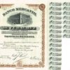 D_653669-MLM69863538441_062023-O.jpg Bono Fundador Del Banco Mercantil De Veracruz, 1899 En Plata