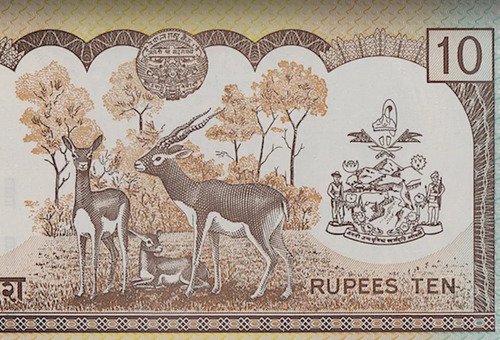 Billete De Nepal 10 Rupees Rey Gyanendra, Polímero Antílope