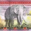 Billete De Nepal 1000 Rupee Monte Everest Nuevo Sin Circular