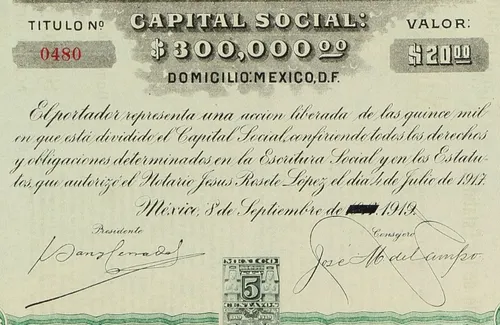 Acción Minera Santiago Apóstol, M. De Pozos Guanajuato 1919