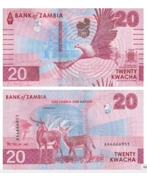 Billete De Zambia 20 Kwacha Águila Pescador Y Antílopes 2024