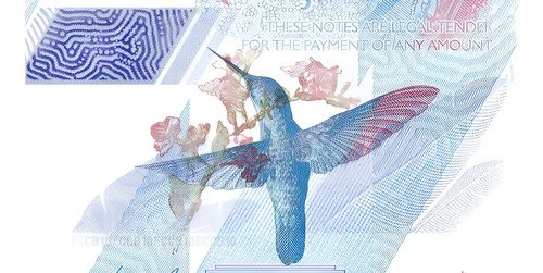Billete De Caribe Oriental $10 R Isabel Il Colibrí Polímero