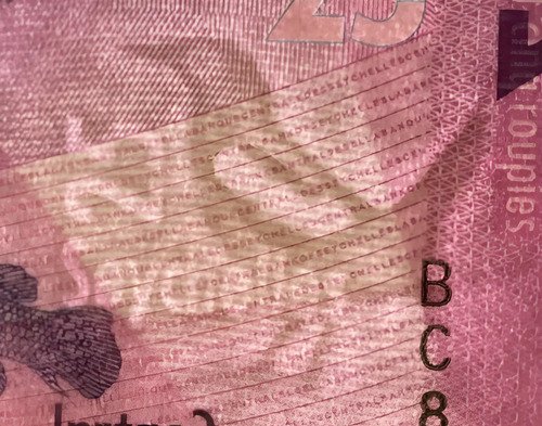 Billete De Seychelles De 25 Rupees Petirrojo Urraca 2016 Nvo