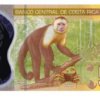 Billete De Costa Rica 5,000 Colones, Alfredo Glez. Mono 2012