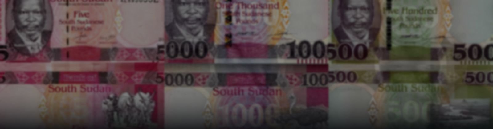Billetes de Sudán del Sur